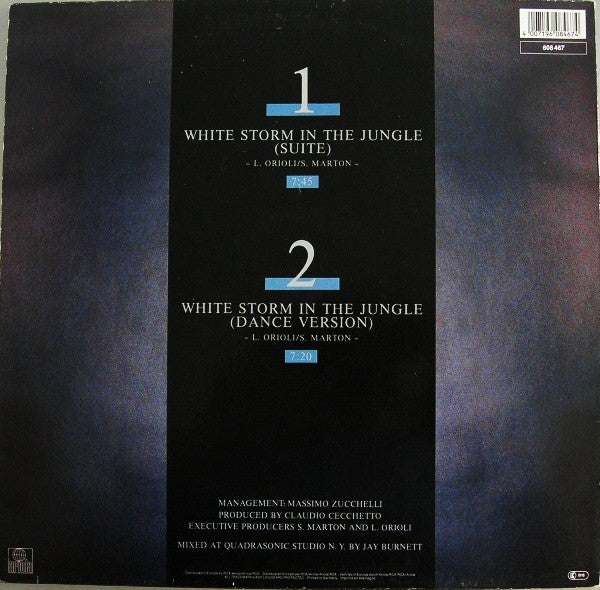 Sandy Marton : White Storm In The Jungle (Two Special D.J. Versions) (12", Maxi)