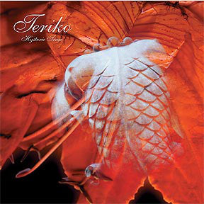 Teriko : Hystoric Trace (12")
