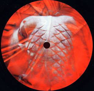 Teriko : Hystoric Trace (12")