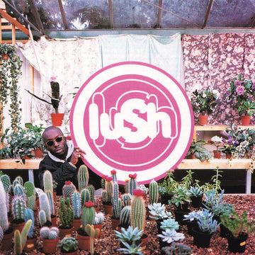 Lush : Lovelife (CD, Album)