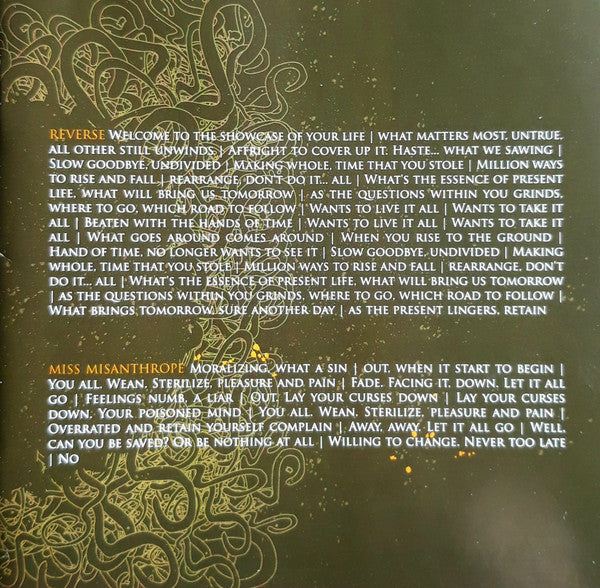 Taste Of Insanity : Collisions (CD, Album)