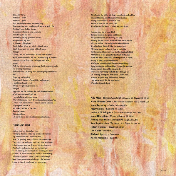 Alfa Mist : Bring Backs (LP, Album, Ltd, Sav)