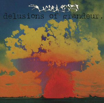 Various : Delusions Of Grandeur (2xLP, Comp)