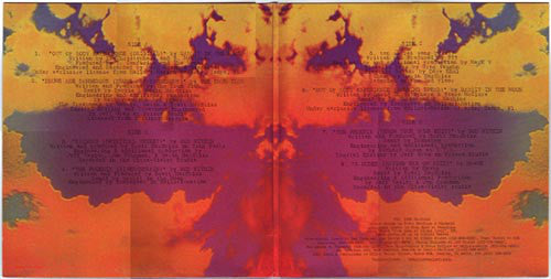 Various : Delusions Of Grandeur (2xLP, Comp)