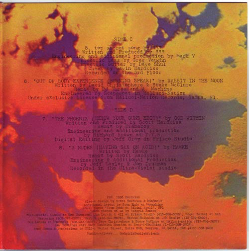 Various : Delusions Of Grandeur (2xLP, Comp)