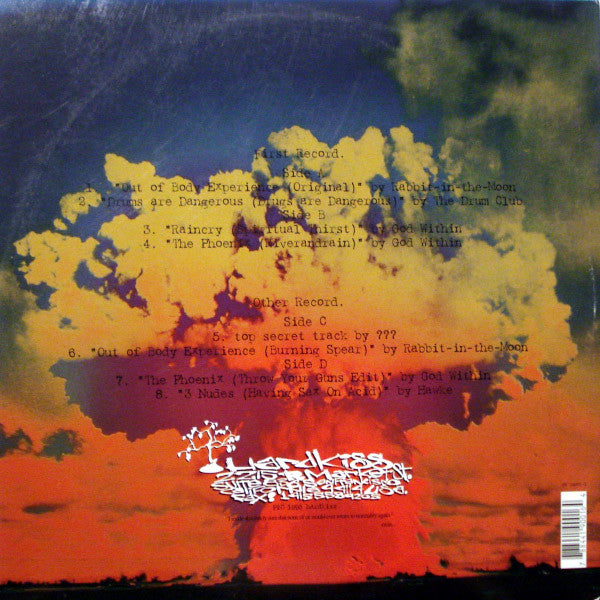 Various : Delusions Of Grandeur (2xLP, Comp)