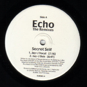 Echo (3) : The Remixes (12")