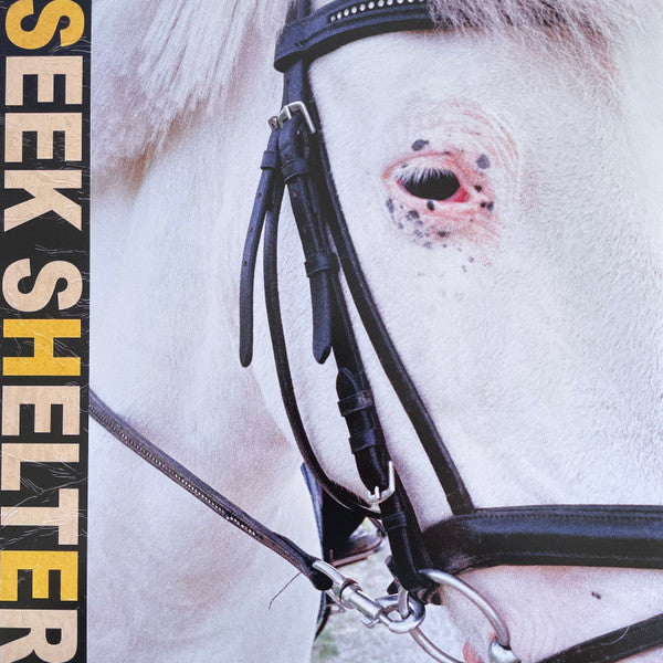 Iceage : Seek Shelter (LP, Album, Ltd, Ora)