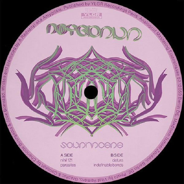 Amygdala (13) : Solanaceae (12", EP)