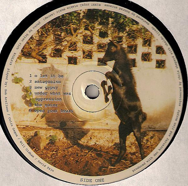 Will Oldham : Joya (LP, Album)