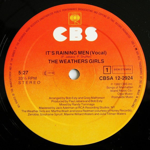 The Weather Girls : It's Raining Men (12", Maxi)