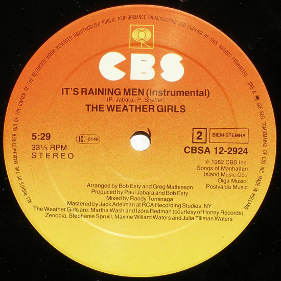 The Weather Girls : It's Raining Men (12", Maxi)
