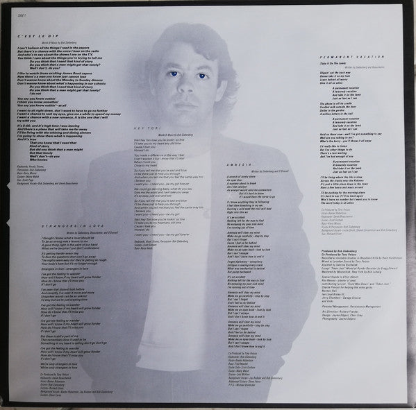 Bob Siebenberg : Giants In Our  Own Room (LP, Album)