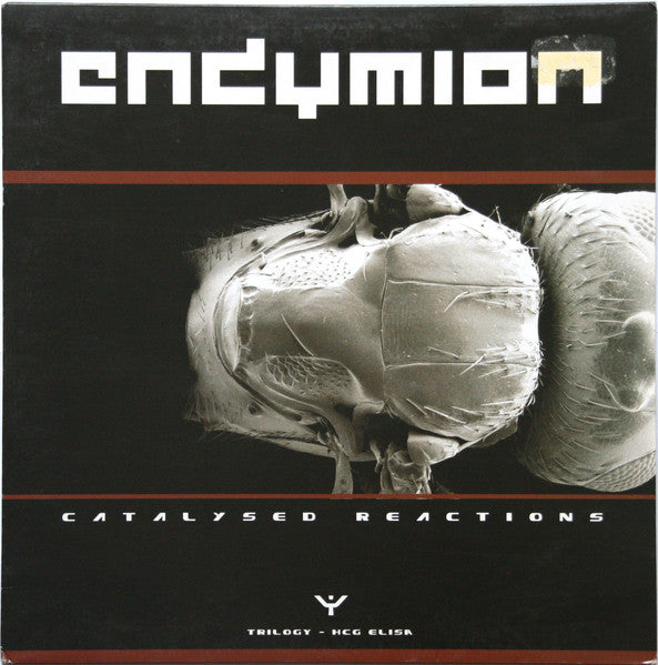 Endymion : Catalysed Reactions Part 2 (12")