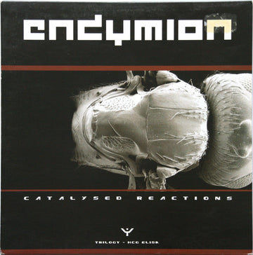 Endymion : Catalysed Reactions Part 2 (12")