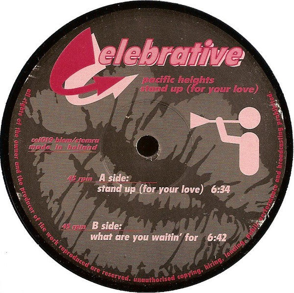 Pacific Heights (2) : Stand Up (For Your Love) (12")
