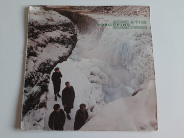 Echo & The Bunnymen : Porcupine (LP, Album)