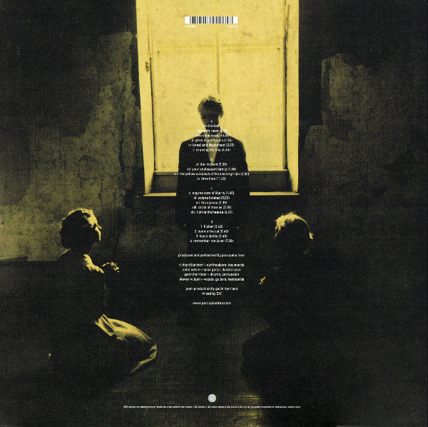 Porcupine Tree : The Incident (2xLP, Album, 180)