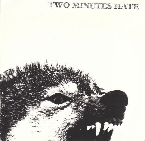 Two Minutes Hate : Fighting All The Odds (7")