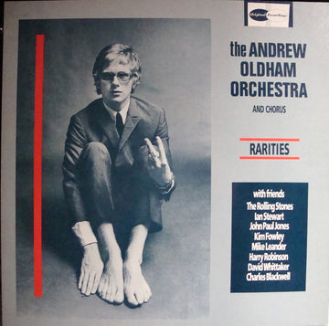 The Andrew Oldham Orchestra And Chorus* : Rarities (LP, Comp, RE)