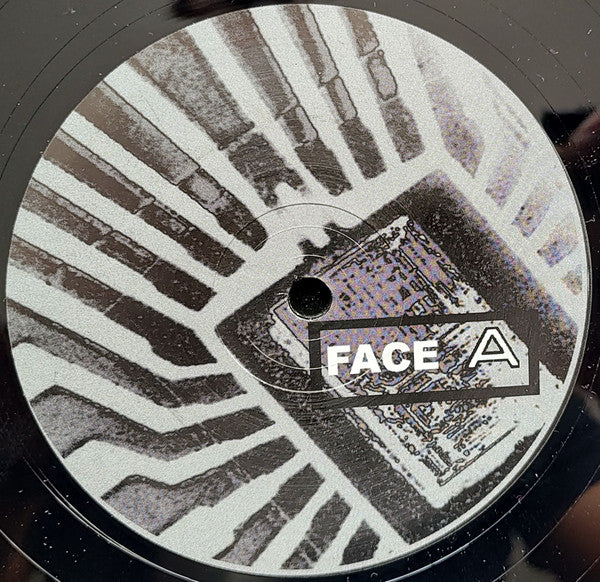 Various : Randomized (2x12")