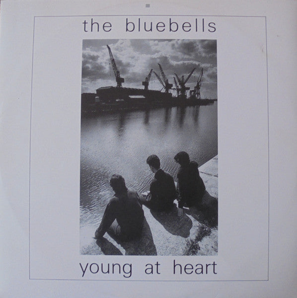 The Bluebells : Young At Heart (12")