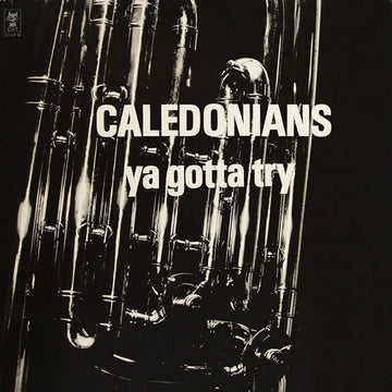 Caledonians : Ya Gotta Try (LP, Album)