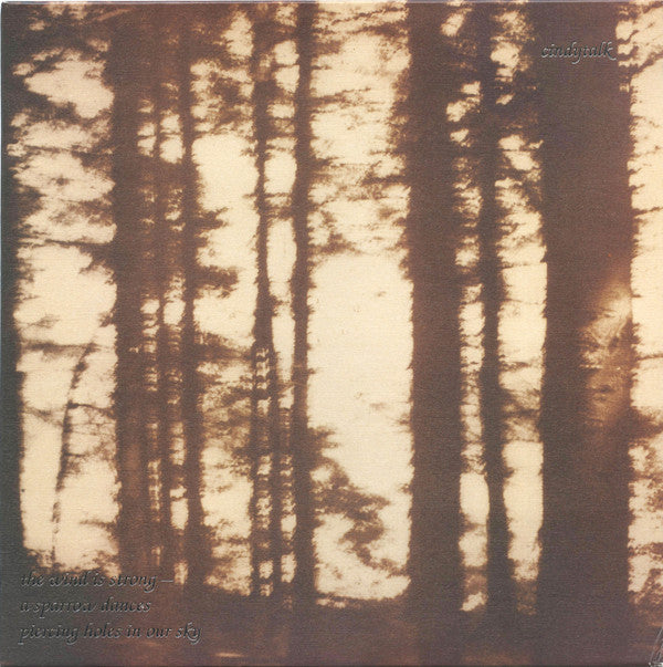 Cindytalk : The Wind Is Strong... (LP, Album, Ltd, RE, RM, Mar)