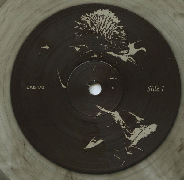 Cindytalk : The Wind Is Strong... (LP, Album, Ltd, RE, RM, Mar)