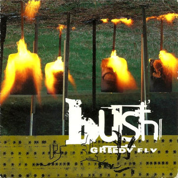 Bush : Greedy Fly (CD, Single, CD1)