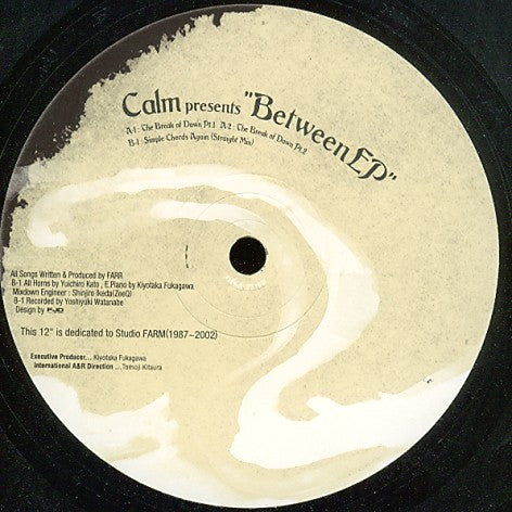 Calm : Between EP (12", EP)