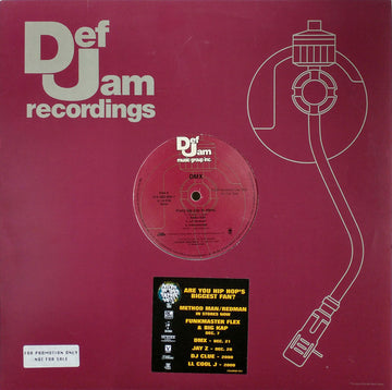 DMX : Party Up (Up In Here) (12", Promo)