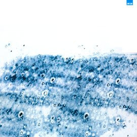 Llips. : Unalaska & The Valley Of 10.000 Smokes (LP)