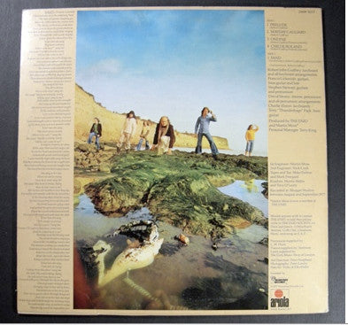 The Enid : Aerie Faerie Nonsense (LP, Album)
