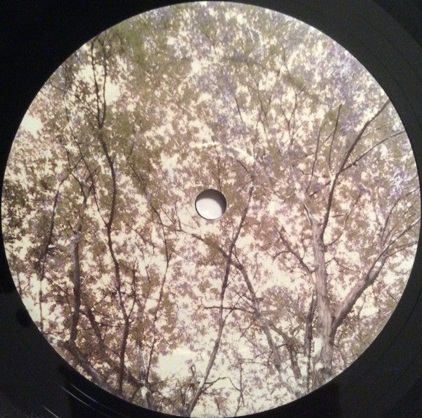 Alfa 9 : Then We Begin (LP, Album)