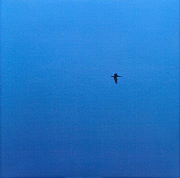 Fisk Industries : The Isle Of Wight EP (CD, EP)