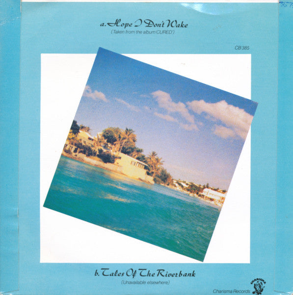 Steve Hackett : Hope I Don't Wake (7", Single)