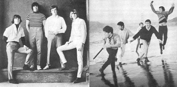 The Beau Brummels : The Beau Brummels Collection (CD, Comp)