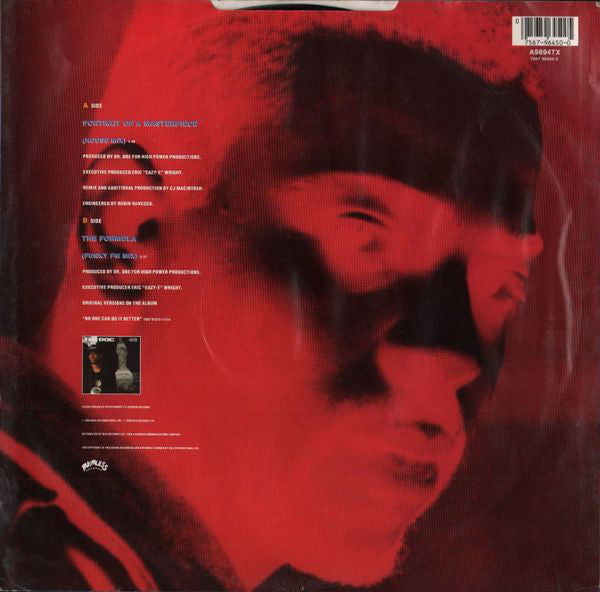 The D.O.C. : Portrait Of A Masterpiece (House Mix) (12")