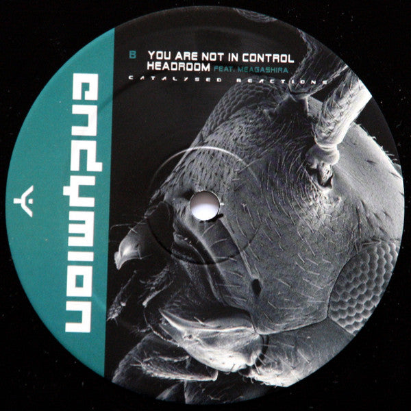 Endymion : Catalysed Reactions Part 3 (12")