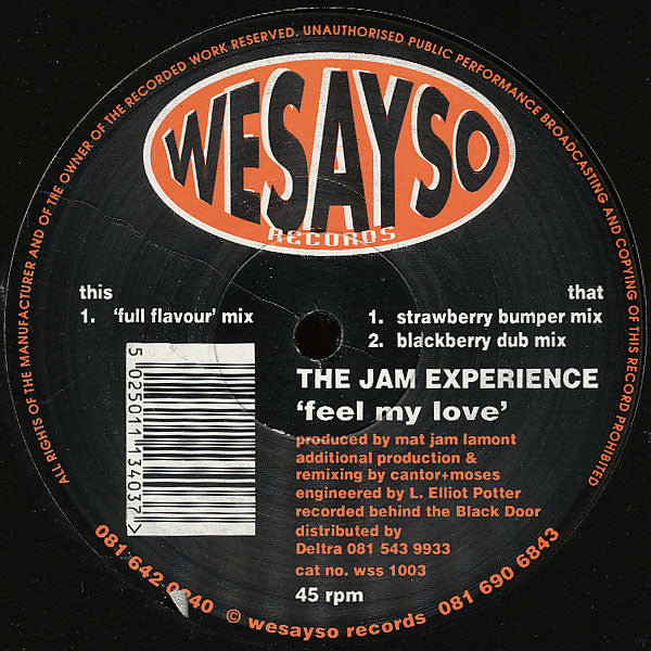 The Jam Experience : Feel My Love (12")