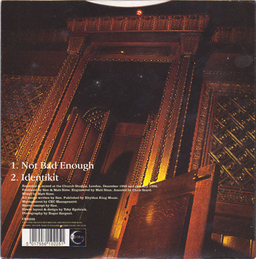 Eggman : Not Bad Enough (7", Single)