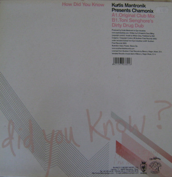 Kurtis Mantronik Presents Chamonix : How Did You Know (12")