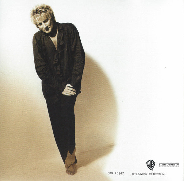Rod Stewart : A Spanner In The Works (CD, Album)