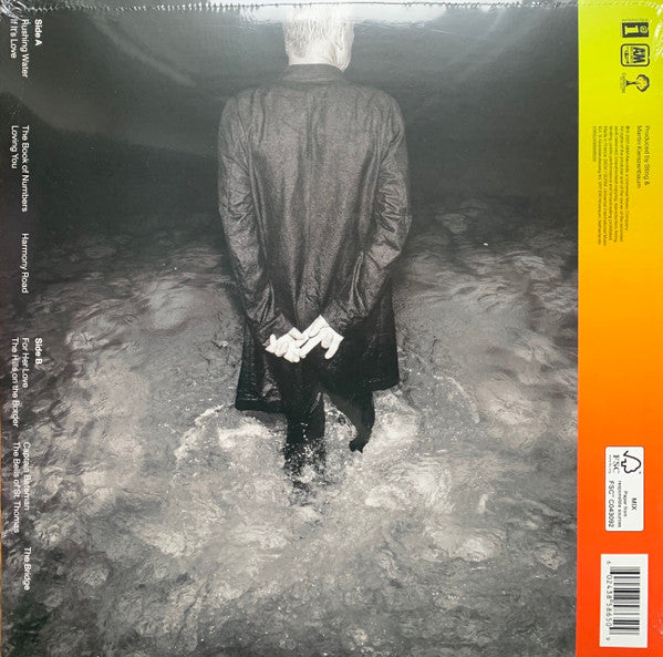 Sting : The Bridge (LP, Album, 180)