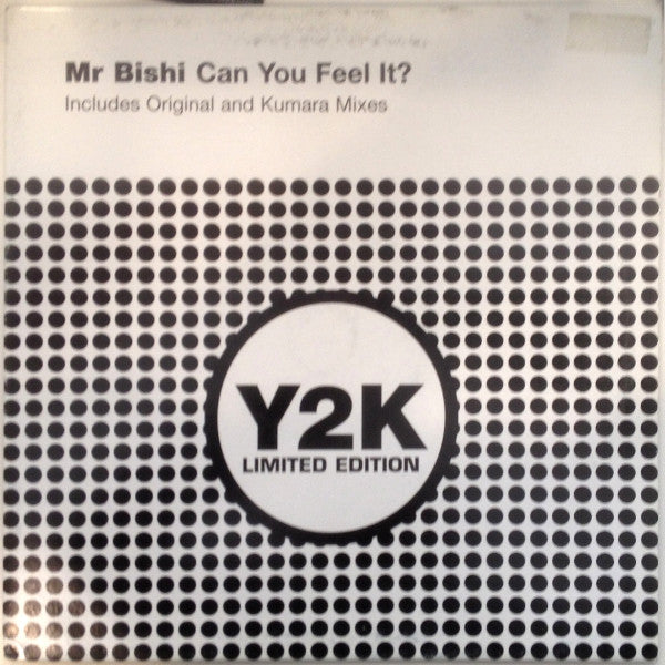 Mr. Bishi : Can You Feel It? (12", Ltd)