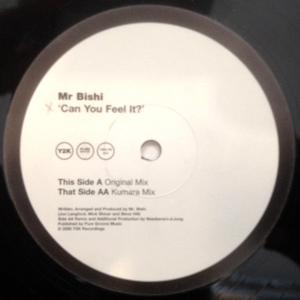 Mr. Bishi : Can You Feel It? (12", Ltd)