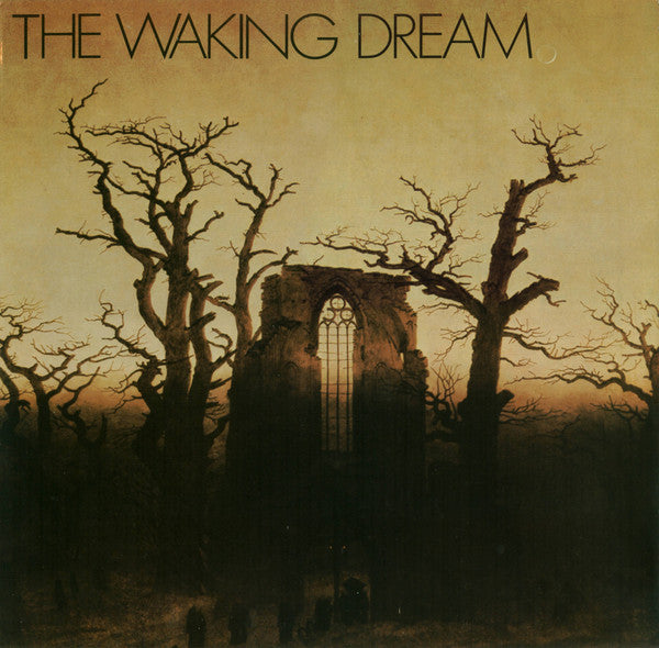 Various : The Waking Dream (LP, Comp)