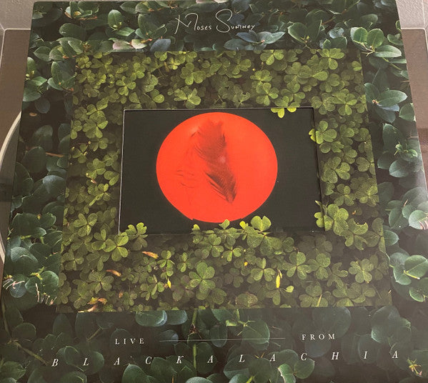 Moses Sumney : Live From Blackalachia (2xLP, Album, Cle)