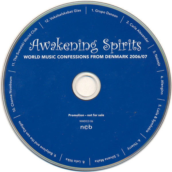 Various : Awakening Spirits. World Music Confessions From Denmark 2006/07 (CD, Promo, Smplr, Dig)